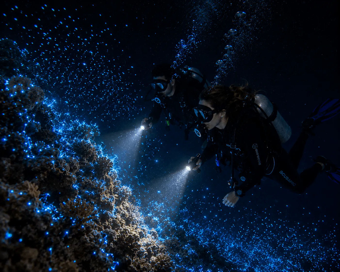 Night Dive